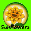 Sunflowers1
